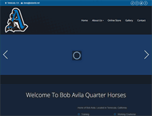 Tablet Screenshot of bobavila.net